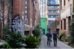 Council lays down models for more laneway greening in the CBD