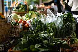 Council adopts new policy to address “unacceptable” food insecurity
