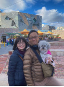 Frosty the travel dog