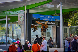 Community gets a sneak peek at Anzac Station