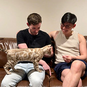 Cat-astrophe averted: Flagstaff Gardens’ leopard mystery solved