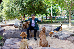 “Paws” for celebration: Eades Park off-leash space for dogs now open