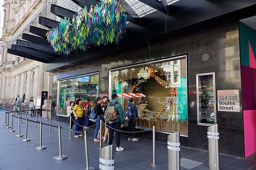 Protesters disrupt opening of Myer Christmas windows 
