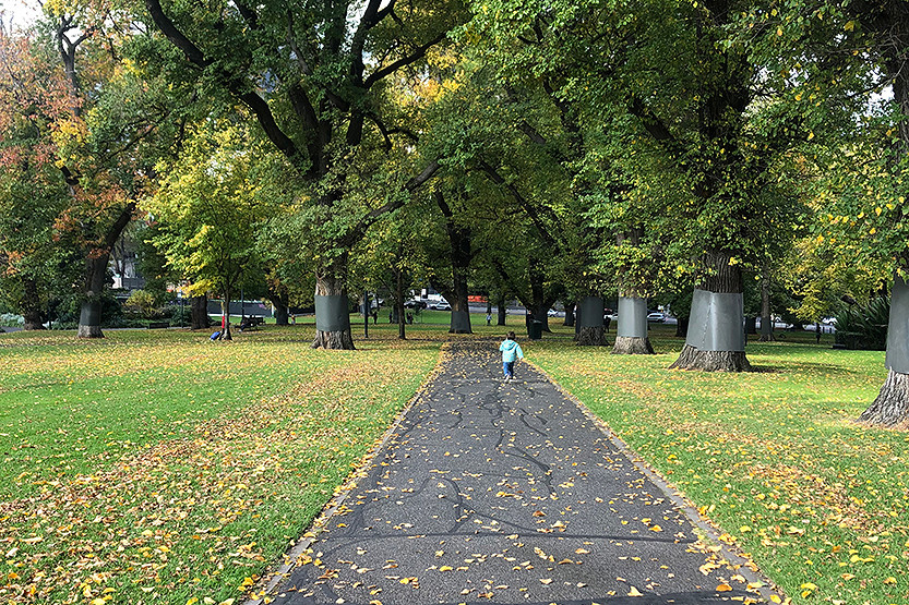 Parks and playgrounds