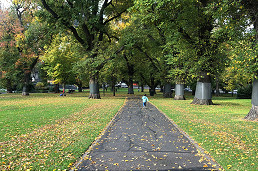 Parks and playgrounds