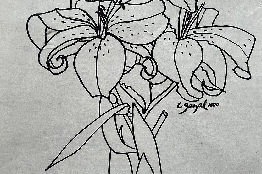 Unlocking the artist within: Lyn Gazal tells the secret of drawing well …