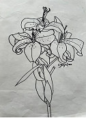 Unlocking the artist within: Lyn Gazal tells the secret of drawing well …