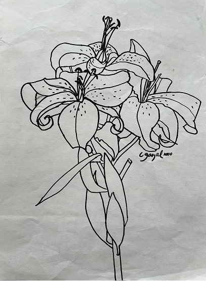 Unlocking the artist within: Lyn Gazal tells the secret of drawing well …