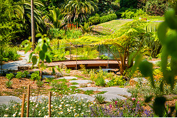 Barefoot in the park – is covering our green spaces