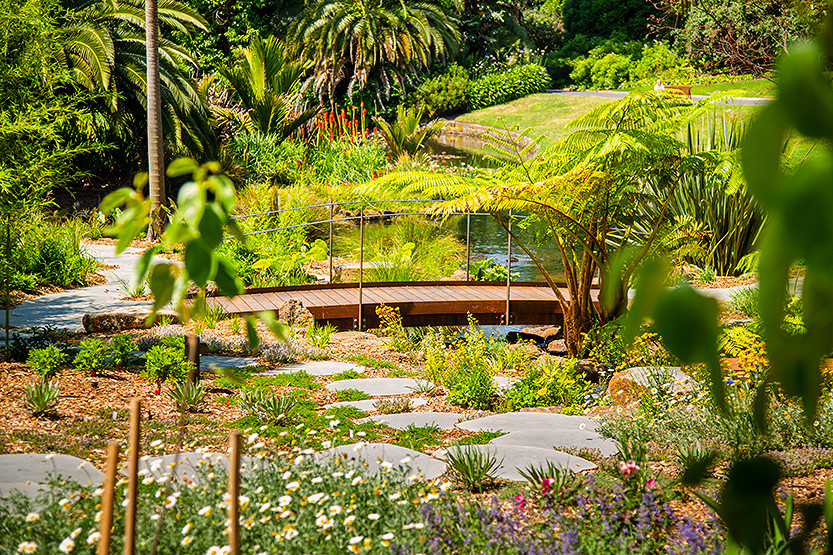 Barefoot in the park – is covering our green spaces