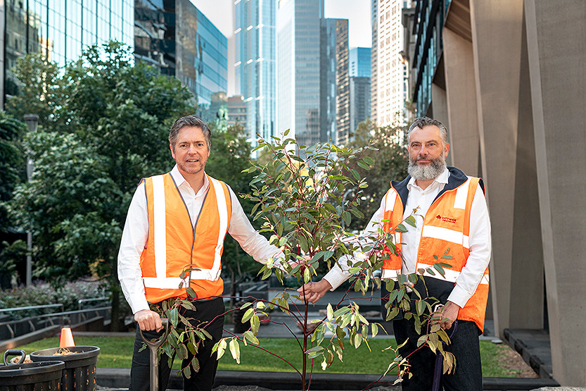 Council’s latest “tree-thousand” push