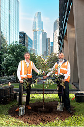 130-Tree-Planting-1.jpg