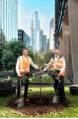 Council’s latest “tree-thousand” push