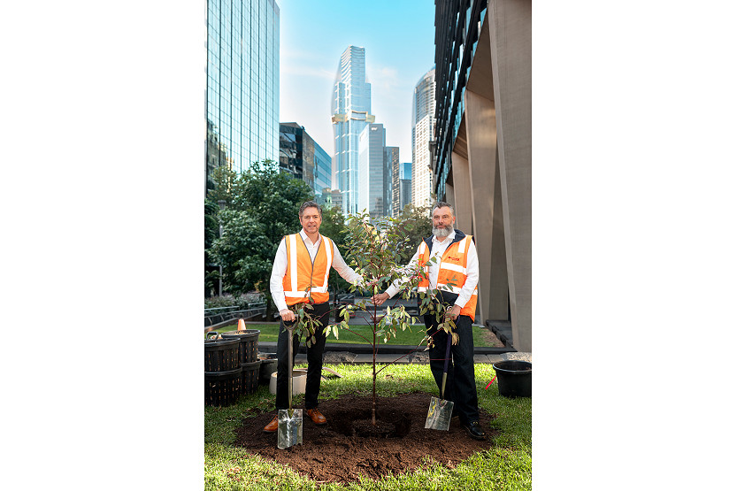 130-Tree-Planting-1.jpg