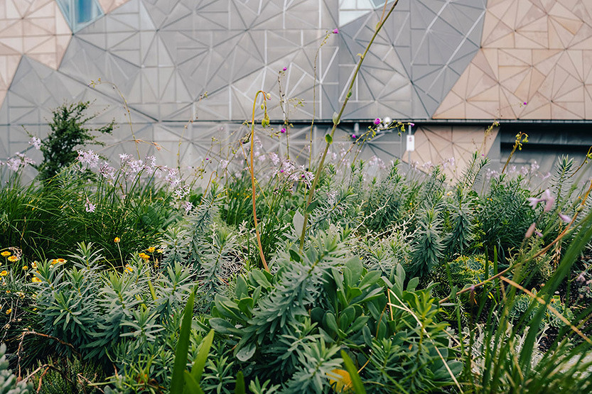 CBD greening projects share in council funding boost