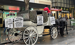 Horse-drawn carriages banned in the CBD