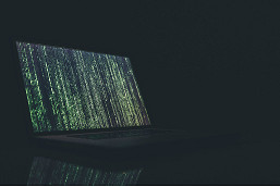 Cyber fraud
