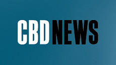CBD crime rate is steady
