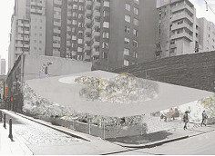 Councillors ignore Chinatown advice