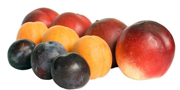 Stone fruits arrive early this year