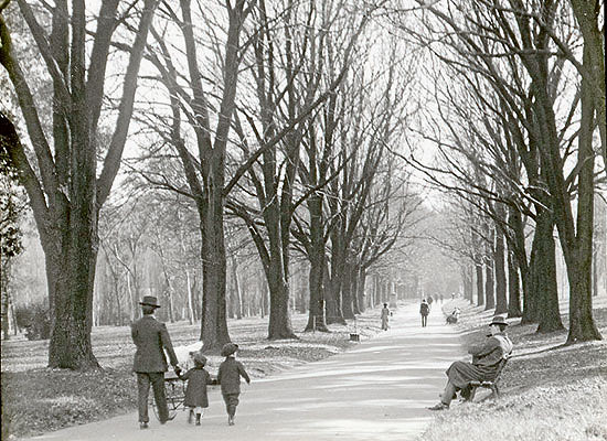 A winter’s walk in Fitzroy Gardens, 1913