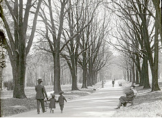 A winter’s walk in Fitzroy Gardens, 1913