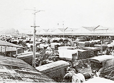 Queen Victoria Market - vibrant, colourful, a kaleidoscope of sights and sounds