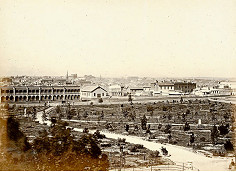 Rediscover the Flagstaff Gardens