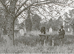 The Old Melbourne Cemetery at QVM