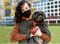 Well-trained CBD dogs frequent the office  