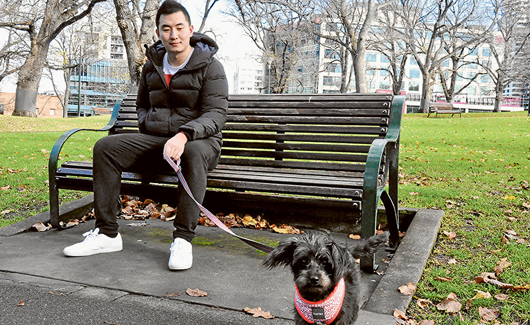 Active dog the perfect companion