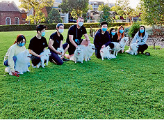Playground for doggies