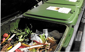 Our building has worms ...