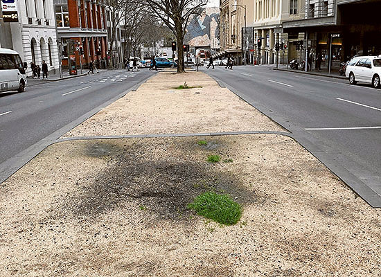 City gardens, trees and street trees