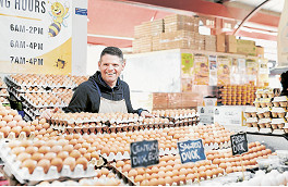 Putting the egg in Eggsperts!