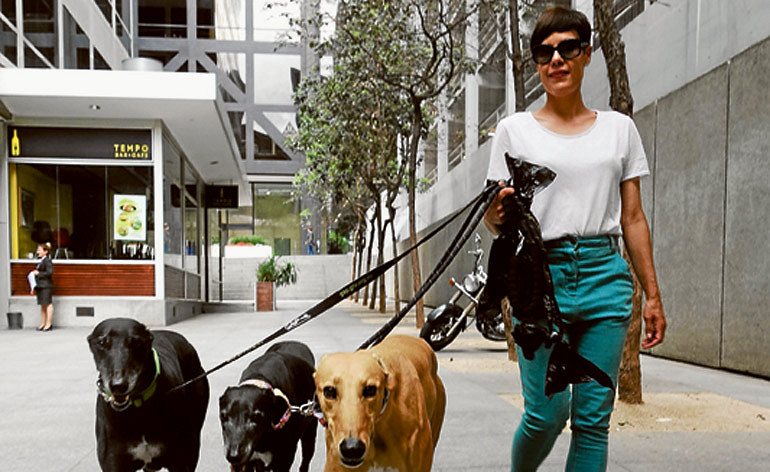 Retired racers lap up the luxury
