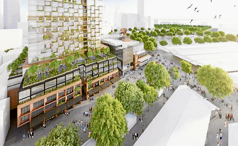 Green light for Vic Market