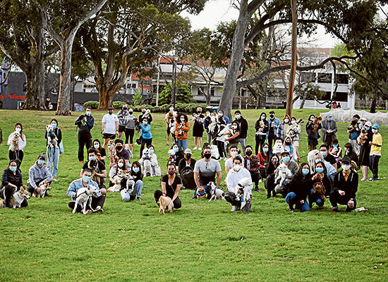 Locals want space for dogs