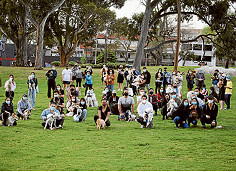 Locals want space for dogs