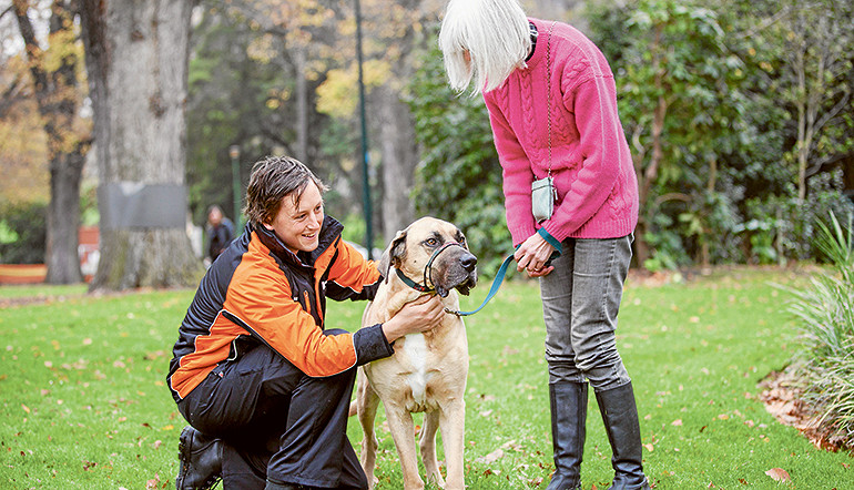 Increase in dog attacks in CBD 