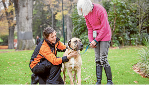 Increase in dog attacks in CBD 