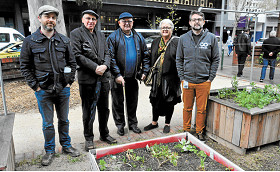 Surprising CBD garden haven 