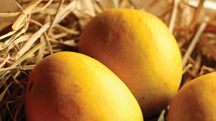 Get ready for tropical fruits
