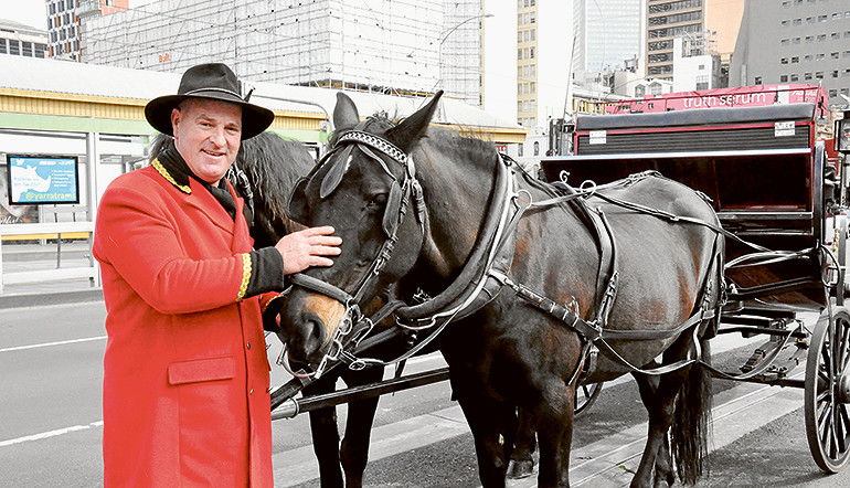 Council denies harming carriage industry