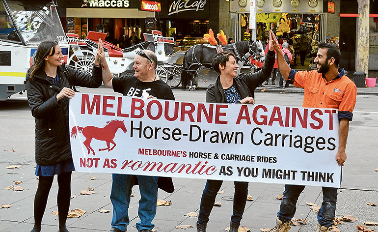 Horse-drawn carriage operators fight to keep their livelihoods
