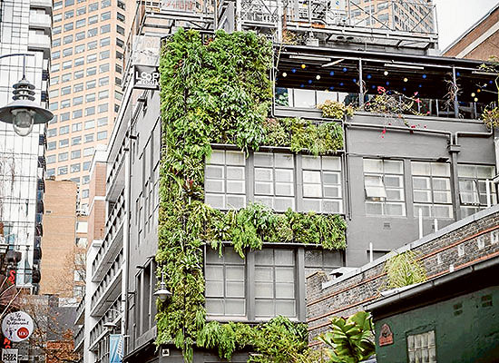 Sustainability advanced in the City of Melbourne