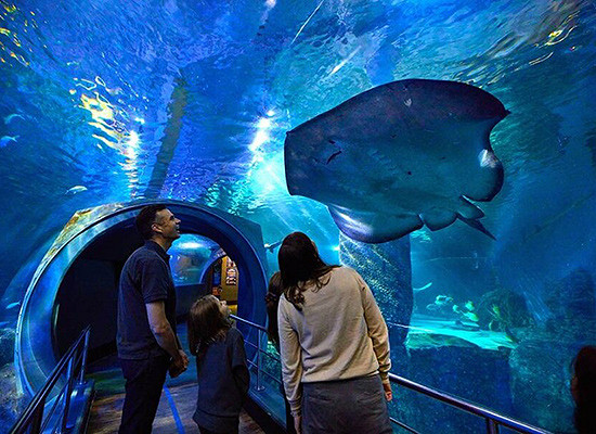 “Melbourne Key” to unlock city tourism