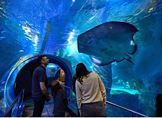 “Melbourne Key” to unlock city tourism