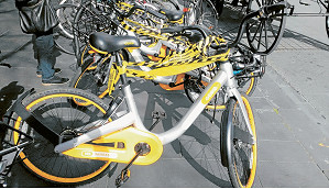 Councils reach agreement to reduce oBike clutter