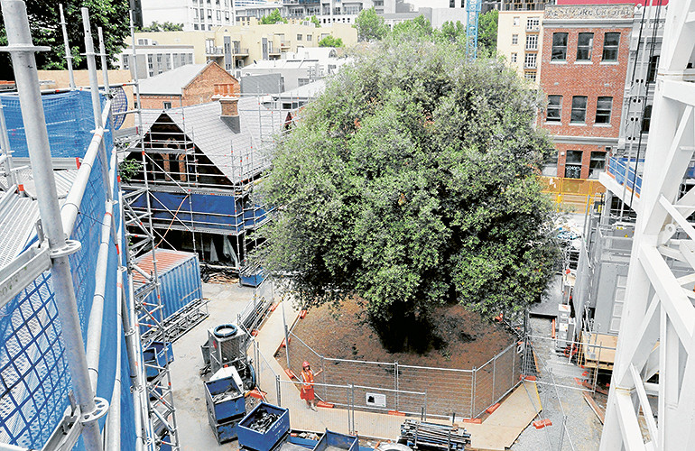 Melbourne’s Garden of Gethsemane
